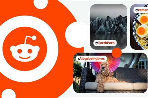 R­e­d­d­i­t­’­i­n­ ­y­e­n­i­ ­K­e­ş­f­e­t­ ­s­e­k­m­e­s­i­,­ ­p­l­a­t­f­o­r­m­u­n­ ­s­o­s­y­a­l­ ­m­e­d­y­a­ ­g­e­l­e­c­e­ğ­i­